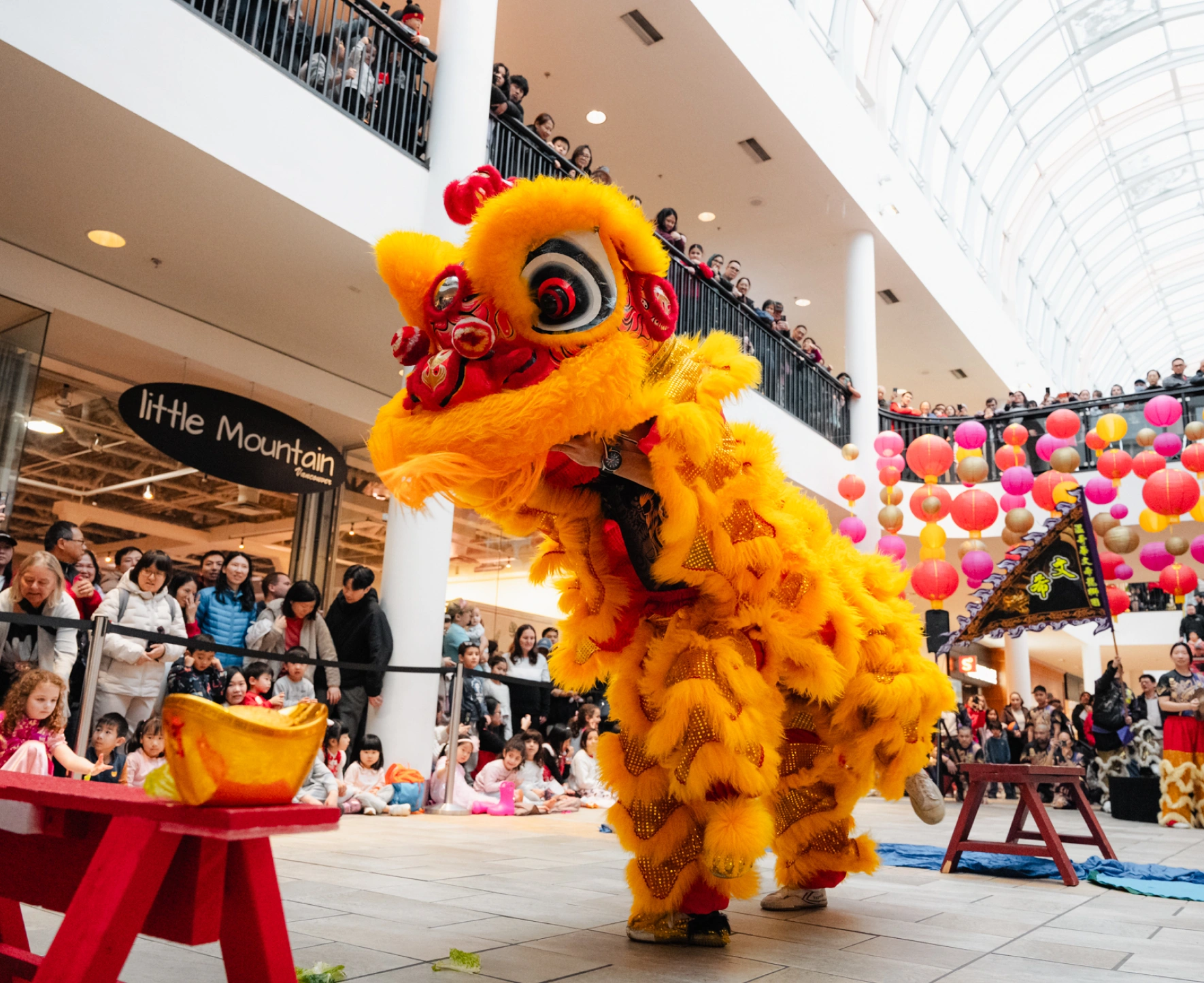 Lunar New Year at the Centre